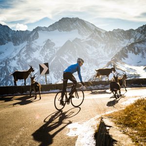 Radgeschäft Radstudio Innsbruck